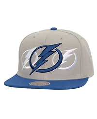 Mitchell & Ness Men's Gray Tampa Bay Lightning Soul Triple Up Snapback Hat