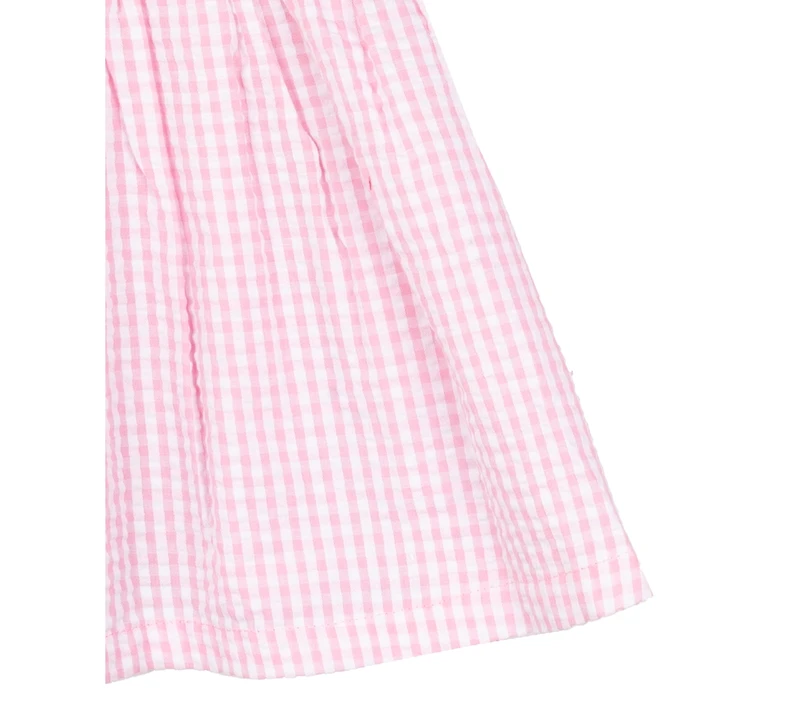 Rare Editions Baby Girls Strawberry Seersucker Dress