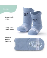 The Peanutshell Baby Boys 12pk Cotton Socks