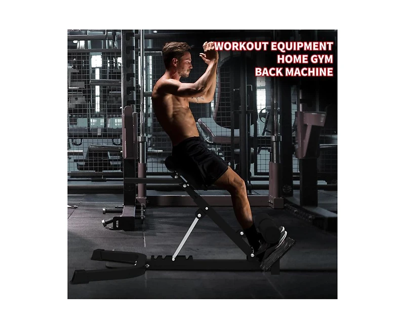 Roman Chair Back Extension, Dual Adjustable Back Extension Bench for Home Gym, Adjustable Back Exercise Machine Weight Capacity 330 Lbs, for Core Work