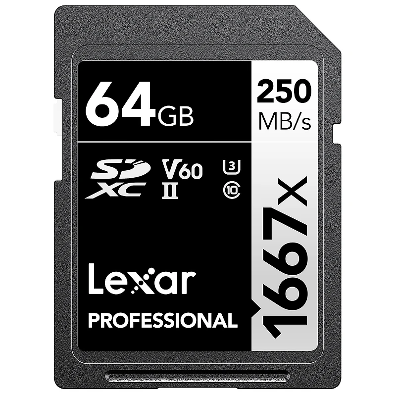 Panasonic Lumix S9 Mirrorless Camera, Jet Black, Bundle with Silver Series Professional 1667x 64GB Uhs-ii Sdxc Memory Card, Alpine 120 Multi-Device Sh