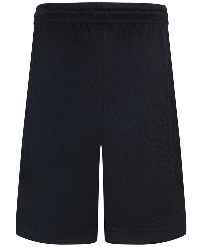 Jordan Big Boys Mesh Logo Shorts