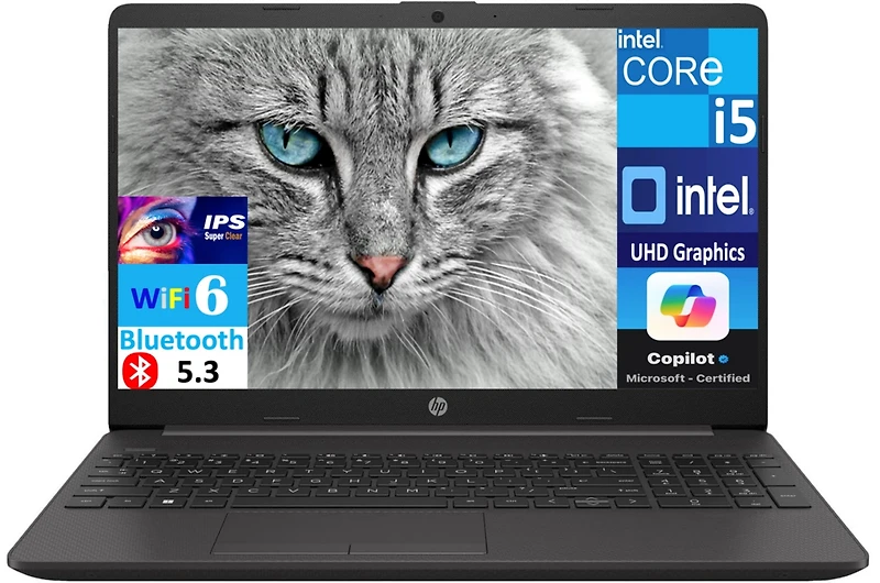 Hp 250 G9 A29SXUA#Aba Dark Ash Silver Laptop, i5-1235U, 16GB, 512GB Ssd, 15.6" Full Hd (1920x1080), Intel Uhd, Windows 11 Home