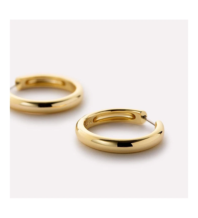 Ana Luisa Gold Hoop Earrings - Giulia Large