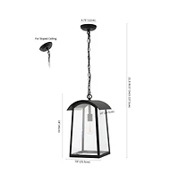 Adalai 10" Outdoor Pendant