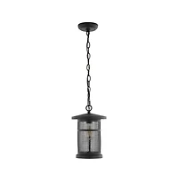 Osprey 8" Outdoor Pendant