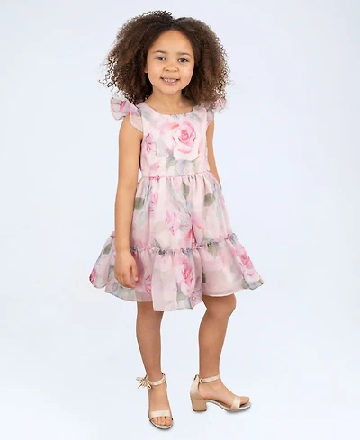 Rare Editions Toddler and Little Girls Floral Organza Party Dress