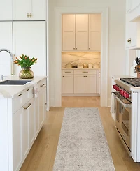 Nourison Home Shadows SHW04 2'2"x12' Runner Area Rug