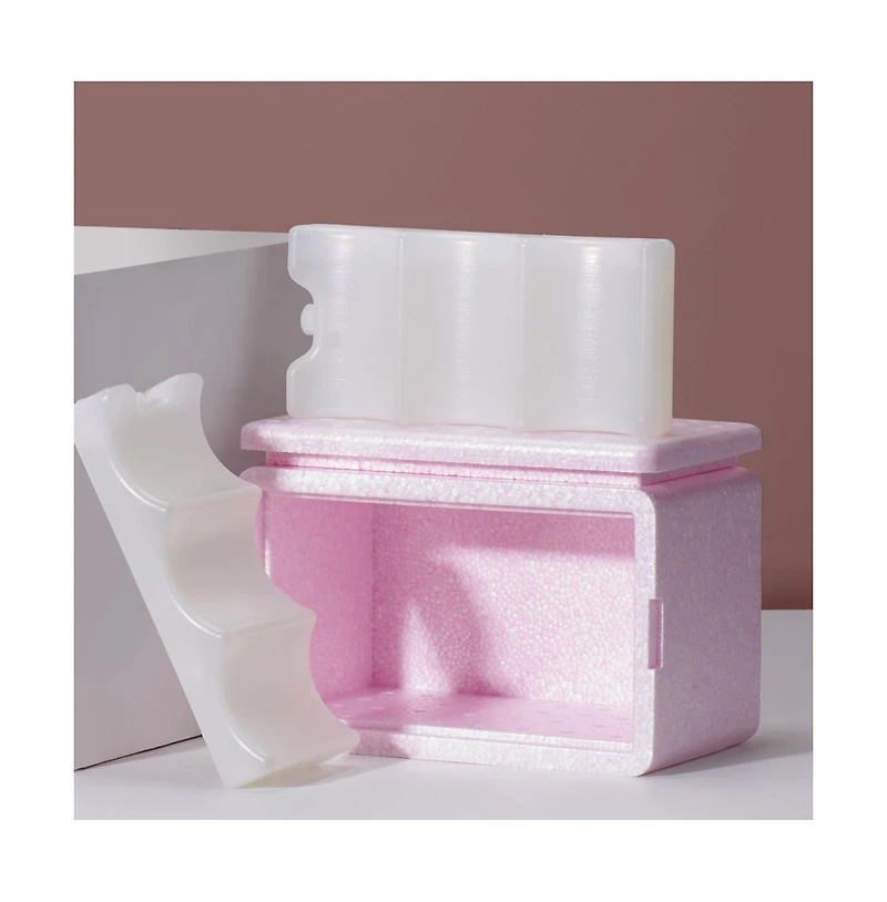 Sunveno Breastmilk Cooler Bag with Detachable Insulation Box Set