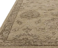 Loloi Willa Wia-05 5'3x7'6" Area Rug