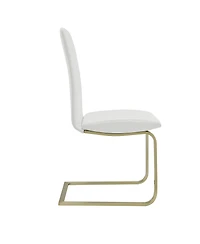 Set of 2 Modern Dining Chairs for Kitchen Table or Home Seating