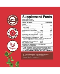 Apple Cider Vinegar Gummies with The Mother | 60ct