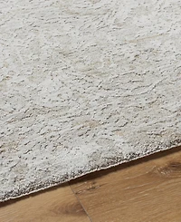 Livabliss Masterpiece Mpc-2317 9'x12'2" Area Rug