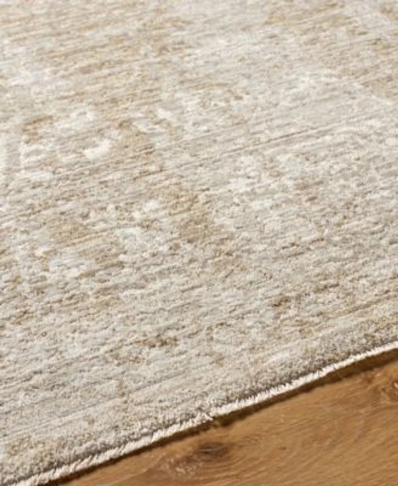 Livabliss Masterpiece Mpc 2322 Rug Collection