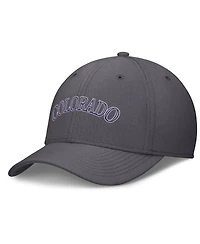Nike Men's Gray Colorado Rockies Swoosh Performance Flex Hat