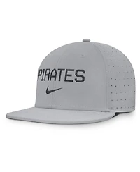 Nike Men's Gray Pittsburgh Pirates True Performance Fitted Hat