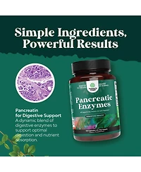 Pancreatic Digestive | Enzymes for Digestive Health, Protease Amylase & Lipase Enzymes for Digestion | 120ct