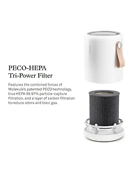 Molekule Peco-hepa Tri-Powered Filter for Air Mini and Air Mini