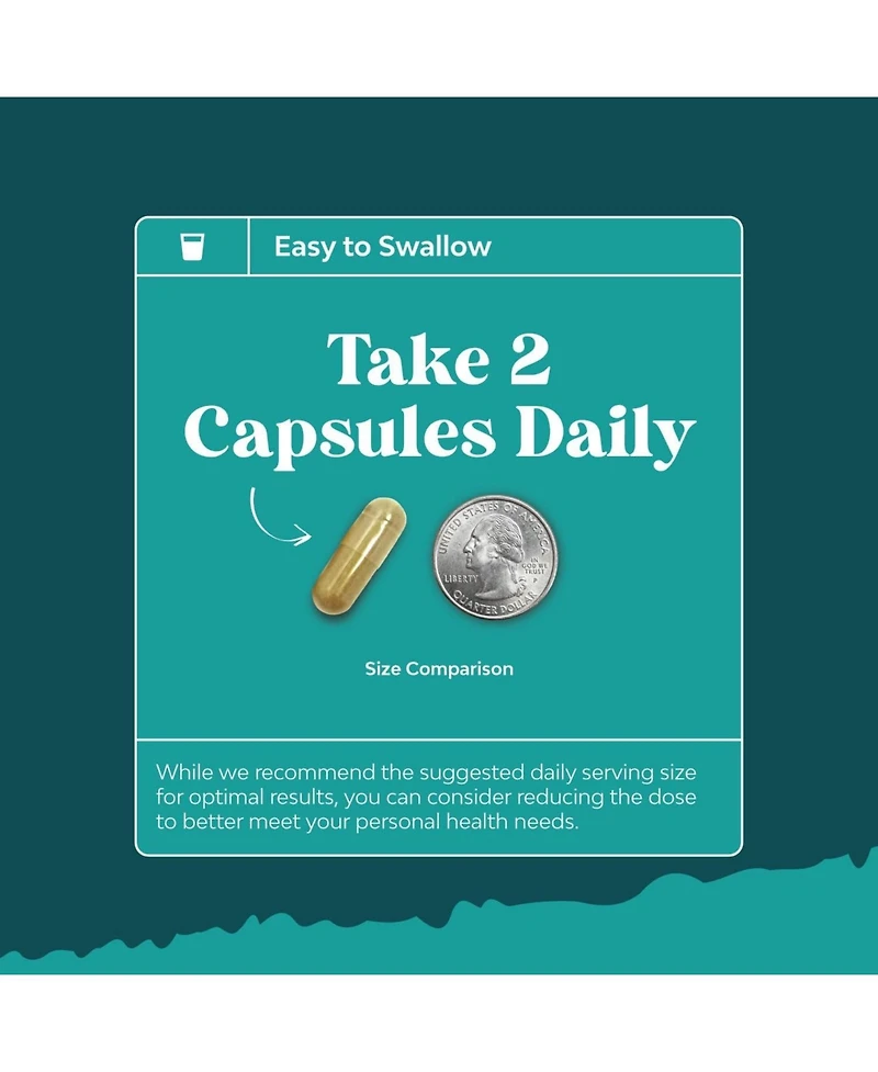 Liver Support + Nac Capsules | Supports Liver Cleanse | N Acetyl Cysteine Silymarin Milk Thistle, Choline Bitartrate & Berberine | 60ct