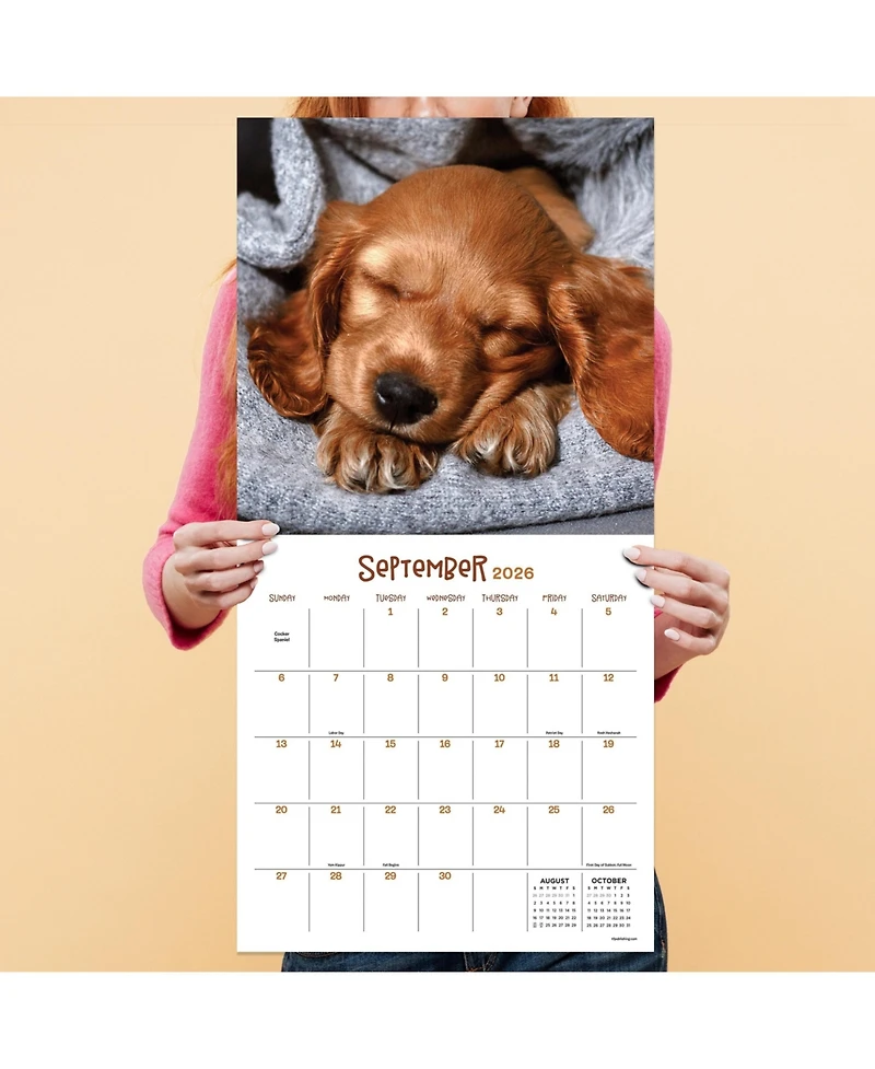 2026 Dog Dreams Wall Calendar