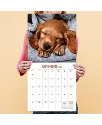 2026 Dog Dreams Wall Calendar