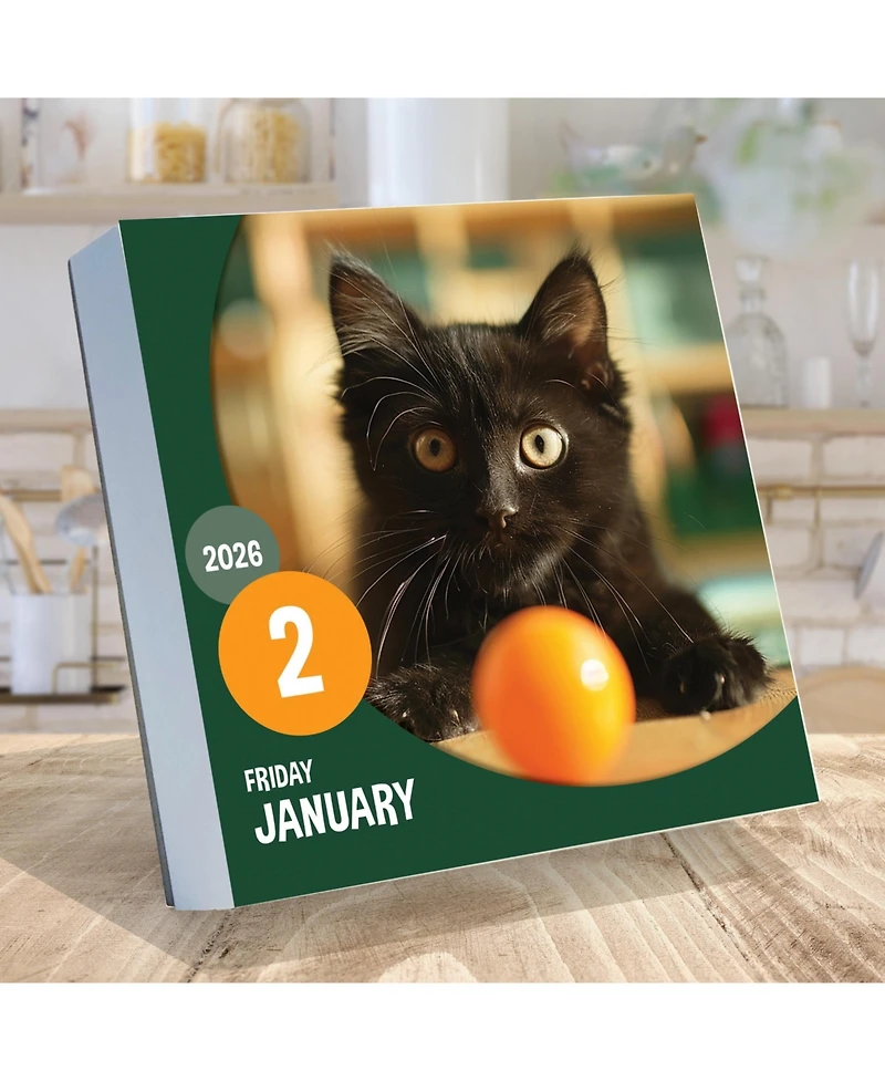 2026 Cat A Day Daily Desktop Calendar