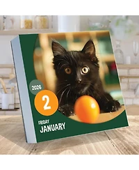 2026 Cat A Day Daily Desktop Calendar
