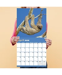 2026 Sloths Wall Calendar