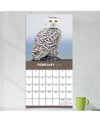2026 Owls Wall Calendar