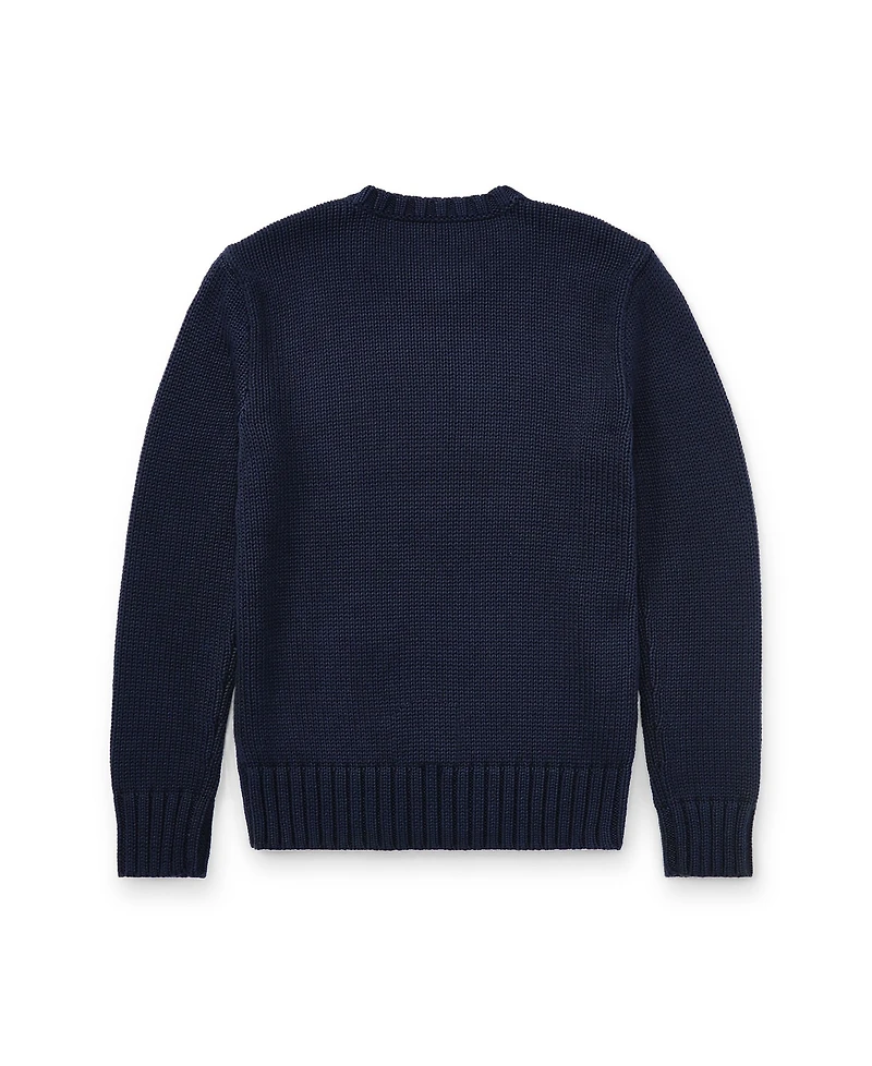 Polo Ralph Lauren Big Boys The Iconic Flag Sweater