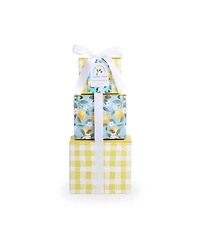 Alder Creek Gift Baskets Lemon Twist 3-High Tower, 4 Pieces