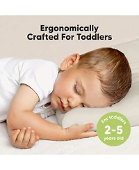 Jumbo Toddler Pillow with Pillowcase, 14X20 Soft Organic Pillows for Sleeping, Kids Travel