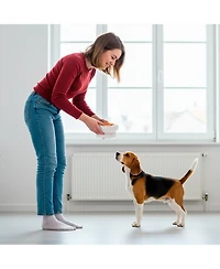 P.t. Supply Co. Abstract Bubble Shaped Stoneware Elevated Pet Bowl, Raised Ceramic Food & Water Dish for Dogs and Cats