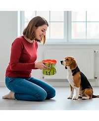 P.t. Supply Co. Watermelon Shaped Stoneware Elevated Pet Bowl, Raised Ceramic Food & Water Dish for Dogs and Cats