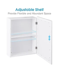 Mirrored Bathroom Medicine Cabinet with Single Door and Adjustable Shelf