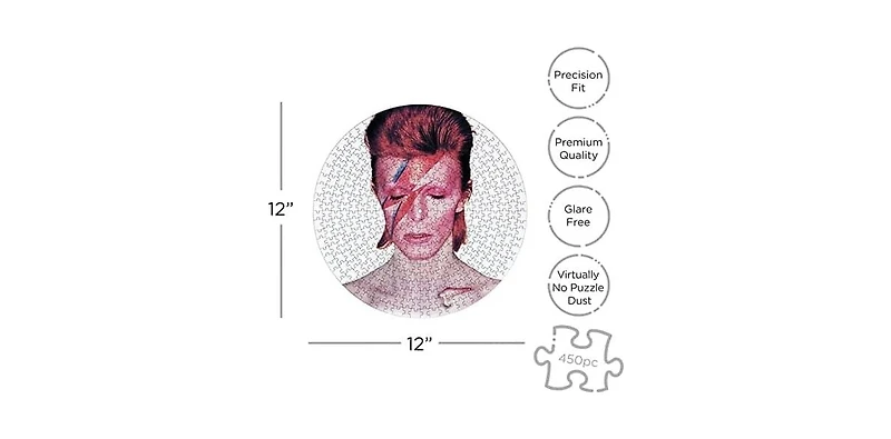 David Bowie Aladdine Sane 450 Piece Record Disc Jigsaw Puzzle