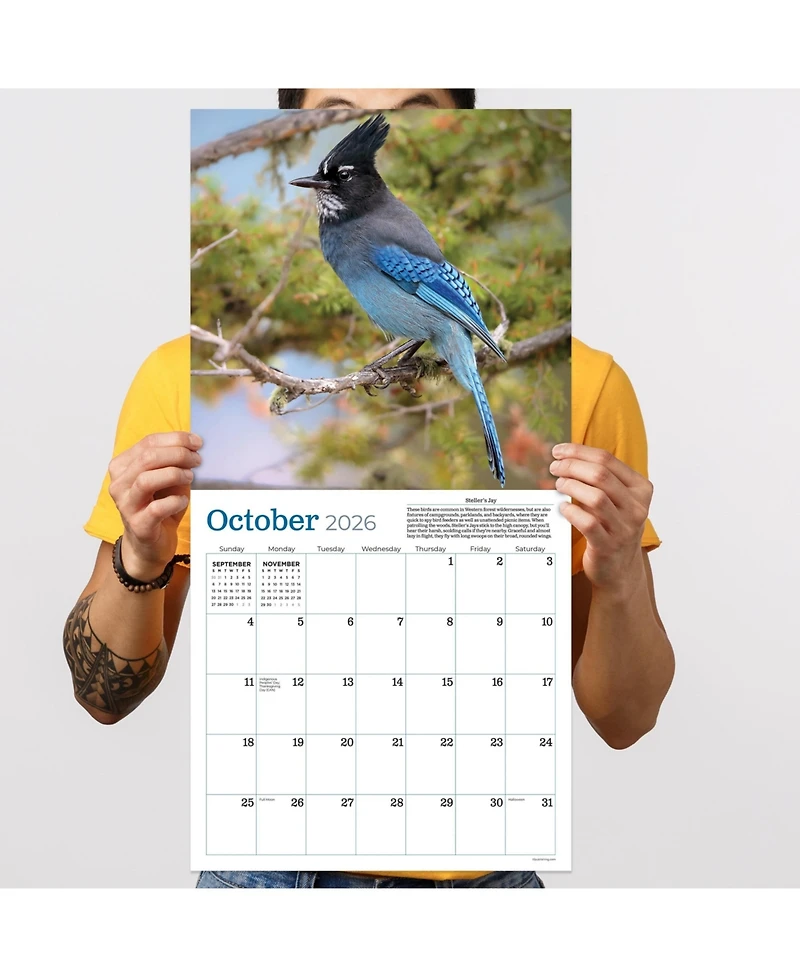 2026 Backyard Birds Wall Calendar