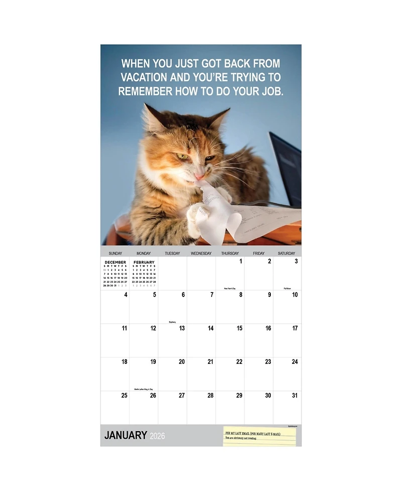 2026 Corporate Cats Wall Calendar