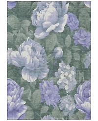Addison Chantille Machine Washable ACN1563 9'x12' Area Rug
