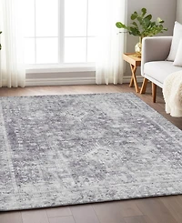 Addison Chantille Machine Washable ACN1229 5'x7'6" Area Rug