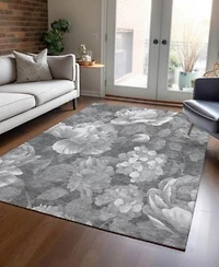 Addison Chantille Machine Washable Acn1562 Area Rug Collection
