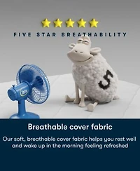 Serta Dream Haven 10 Plush Pillow Top Mattress In A Box Collection