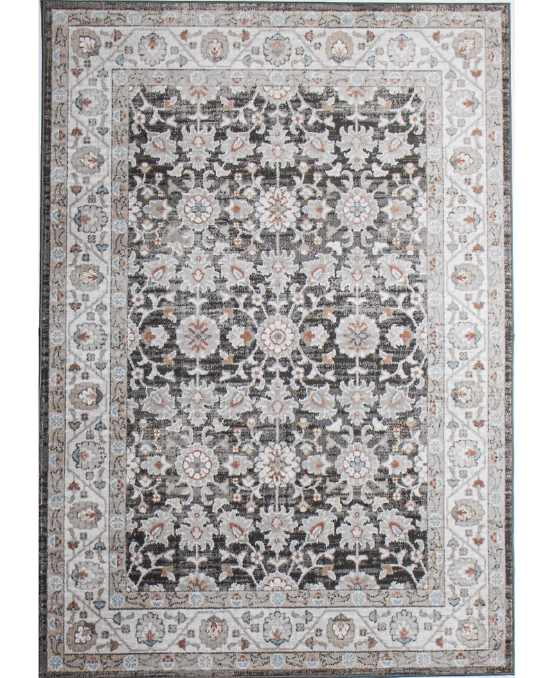 Bashian Parlin ASH313 8'6"x11'6" Area Rug