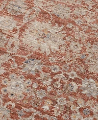 Amer Rugs Albany ALB3 3'6'' x 5'6'' Area Rug