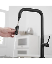 Single Handle Pull-Down Sprayer 1 Spray High Arc Kitchen Faucet With Deck Plate in Matte Black