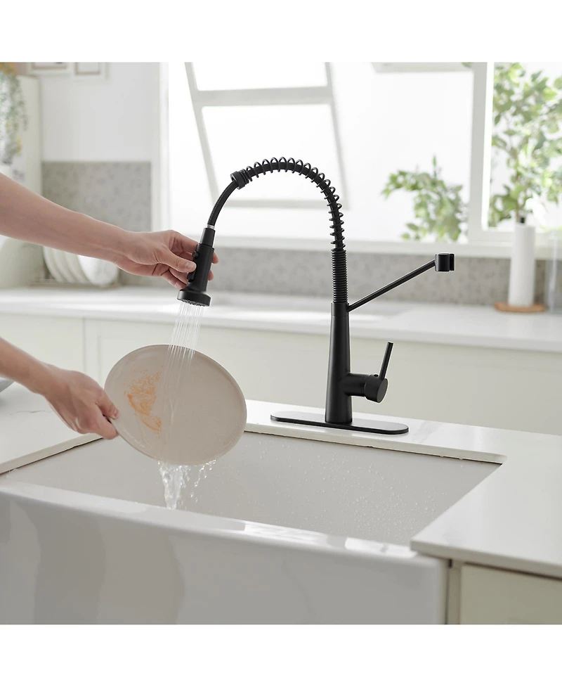 Single-Handle Pull-Down Sprayer 2 Spray High Arc Kitchen Faucet With Deck Plate in