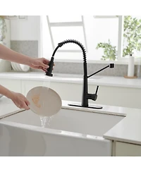 Single-Handle Pull-Down Sprayer 2 Spray High Arc Kitchen Faucet With Deck Plate in