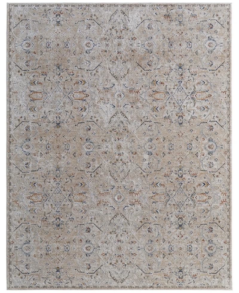 Feizy Pasha 39M6F 6'7"x9'6" Area Rug