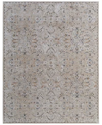 Feizy Pasha 39M6F 6'7"x9'6" Area Rug