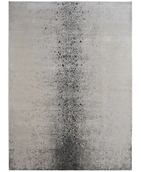 Feizy Astra 39l2f Rug Collection